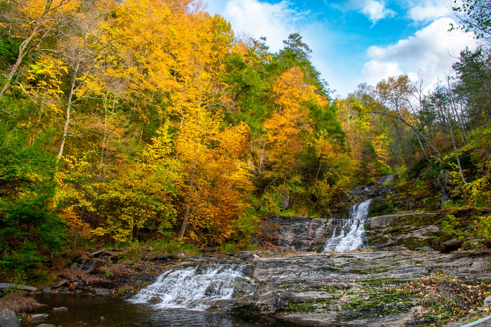 waterfalls in the middle of yellow and green trees under blue sky and white clouds during